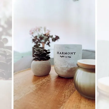 Burgstrasse, App 140 * ピルナ